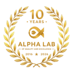 10 Years Excellence Wreath